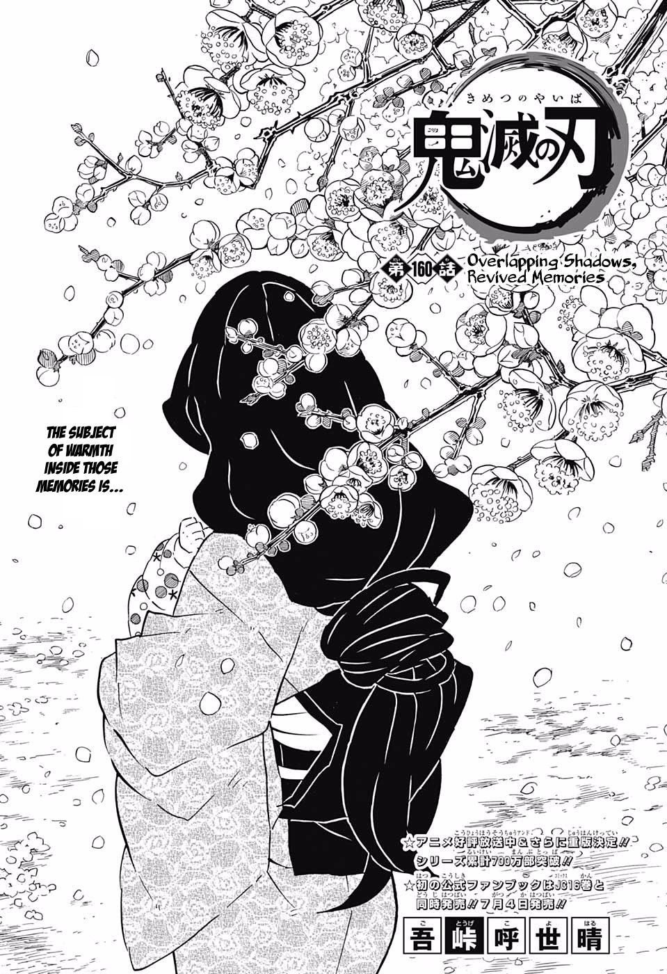 Demon Slayer Chapter 160 - Page
