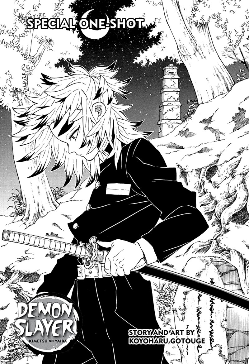 Demon Slayer Chapter 206 - Page