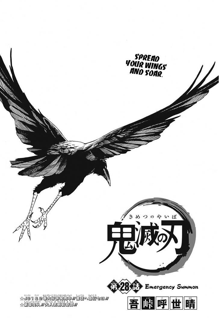 Demon Slayer Chapter 28 - Page