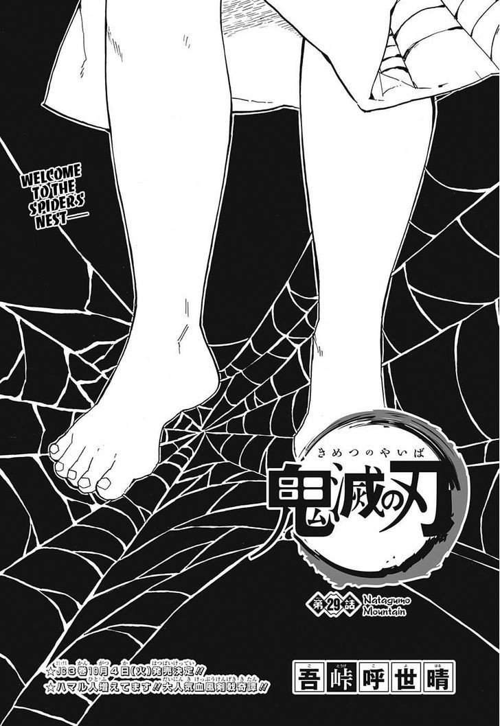 Demon Slayer Chapter 29 - Page