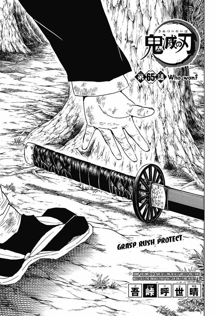 Demon Slayer Chapter 65 - Page