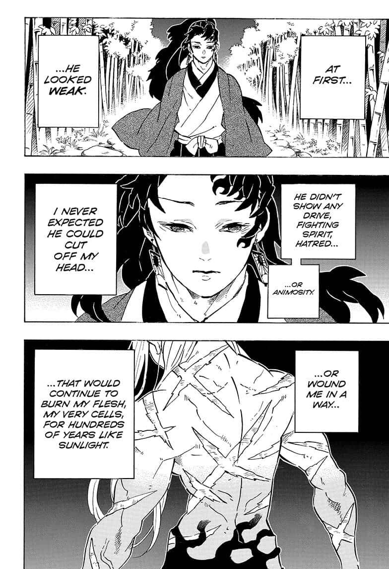 Demon Slayer Chapter 195 - Page